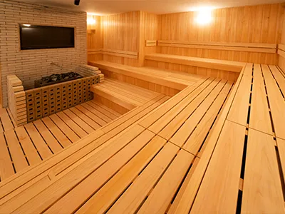 オートロウリュサウナ